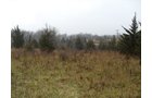 Property photo 4 - Land Auction - 113.11 Acres, Potential Building Site, Wildlife & Recreation, Development Potential